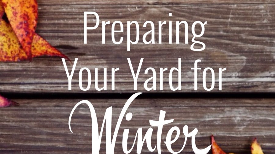 Tips for preparing your yard for the winter