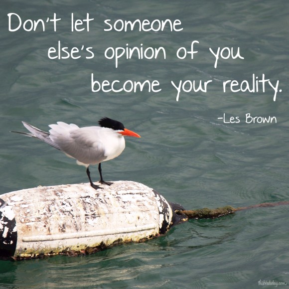 "Don't let someone else's opinion of you become your reality." Les Brown Photo Copyt=right Sheri Landry