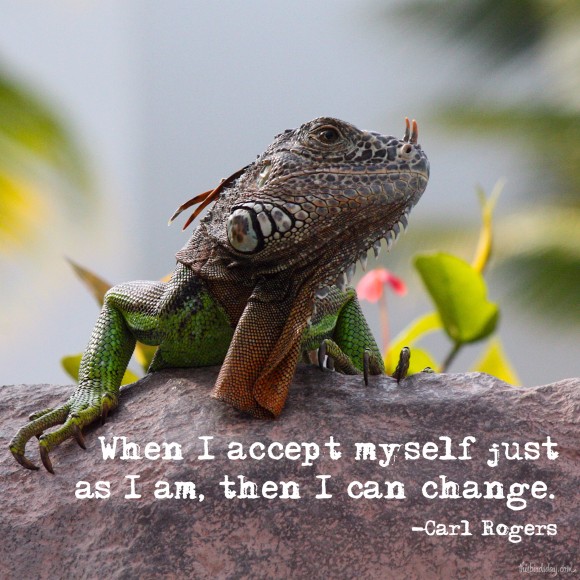 "When I accept myself just as I am, then I can change." Carl Rogers Photo Copyright Sheri Landry