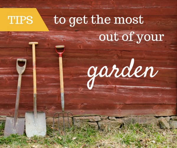 Tips to get the most out of your garden