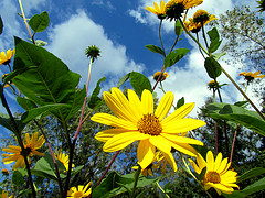Image Copyrights to rkramer62 on Flickr