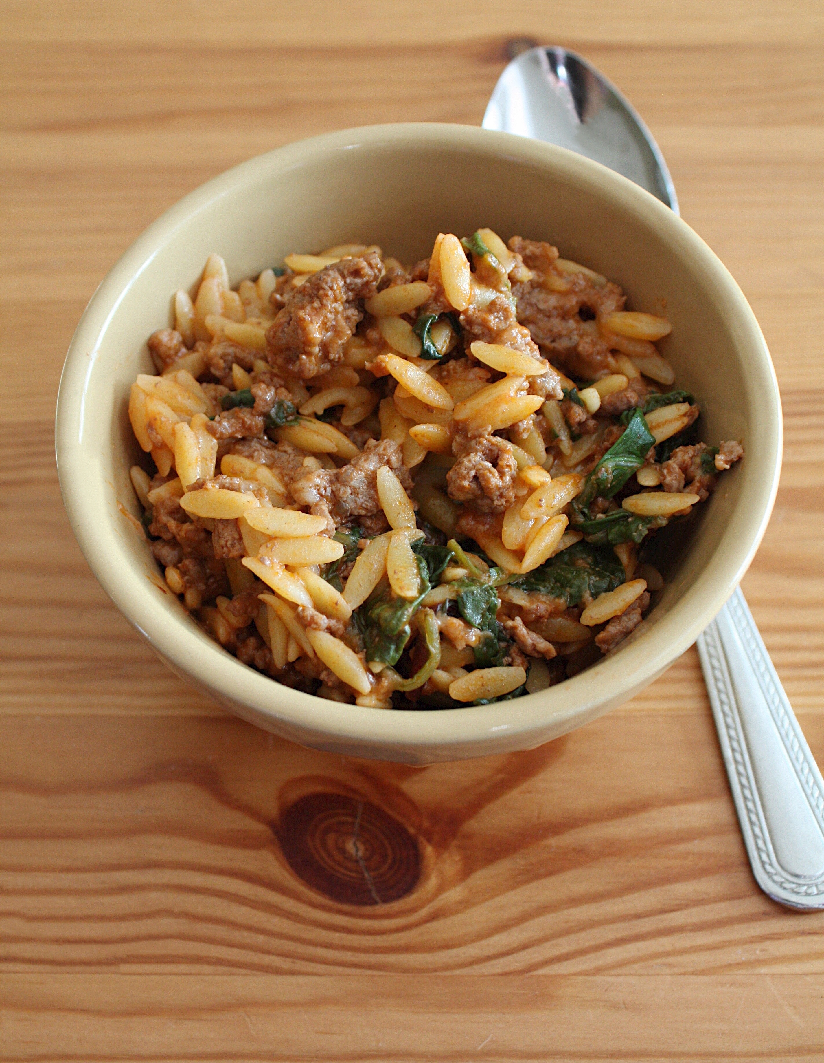 Bowl of Cheesy Beef Orzo for post that includes recipe