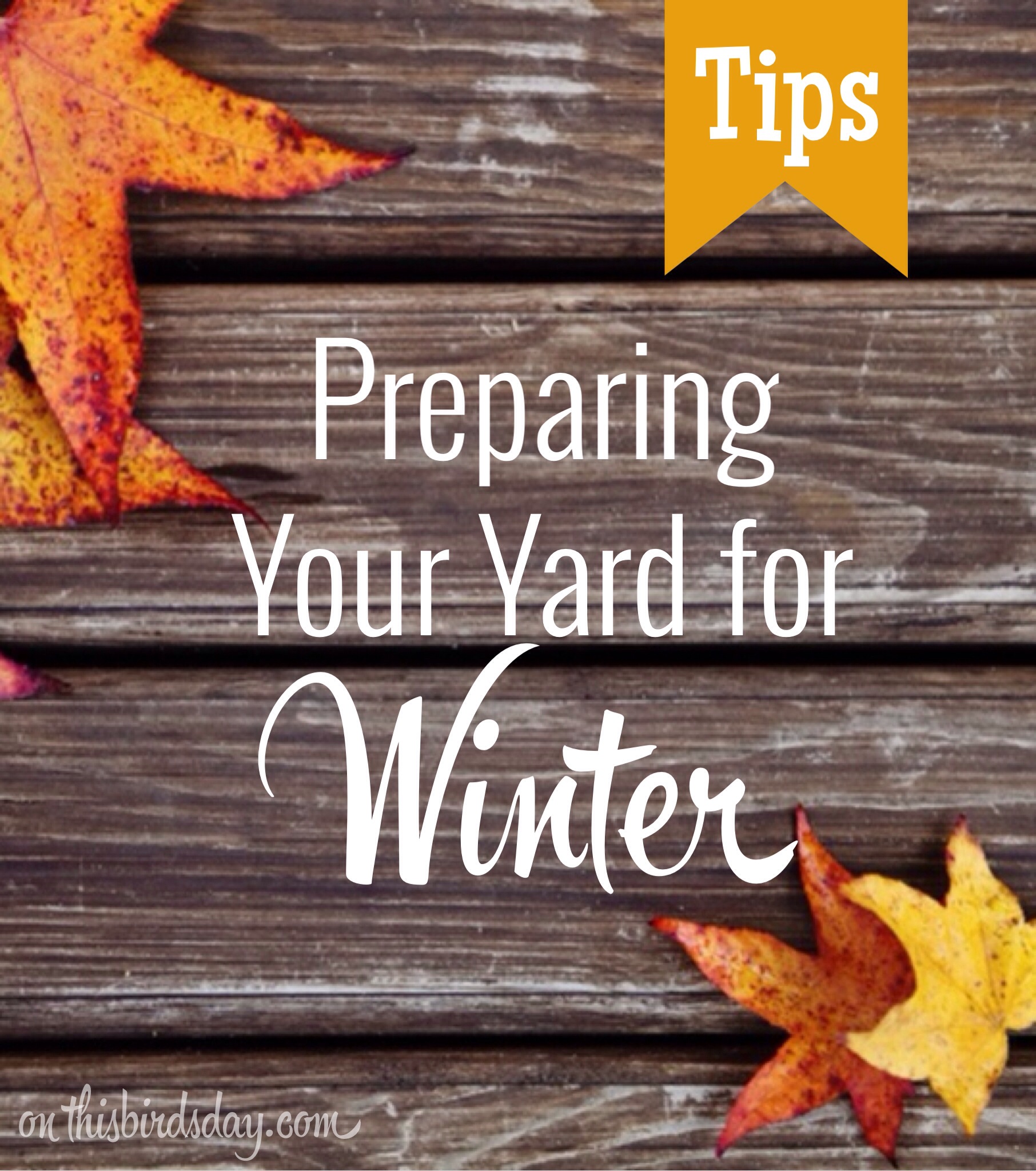 Tips for preparing your yard for the winter