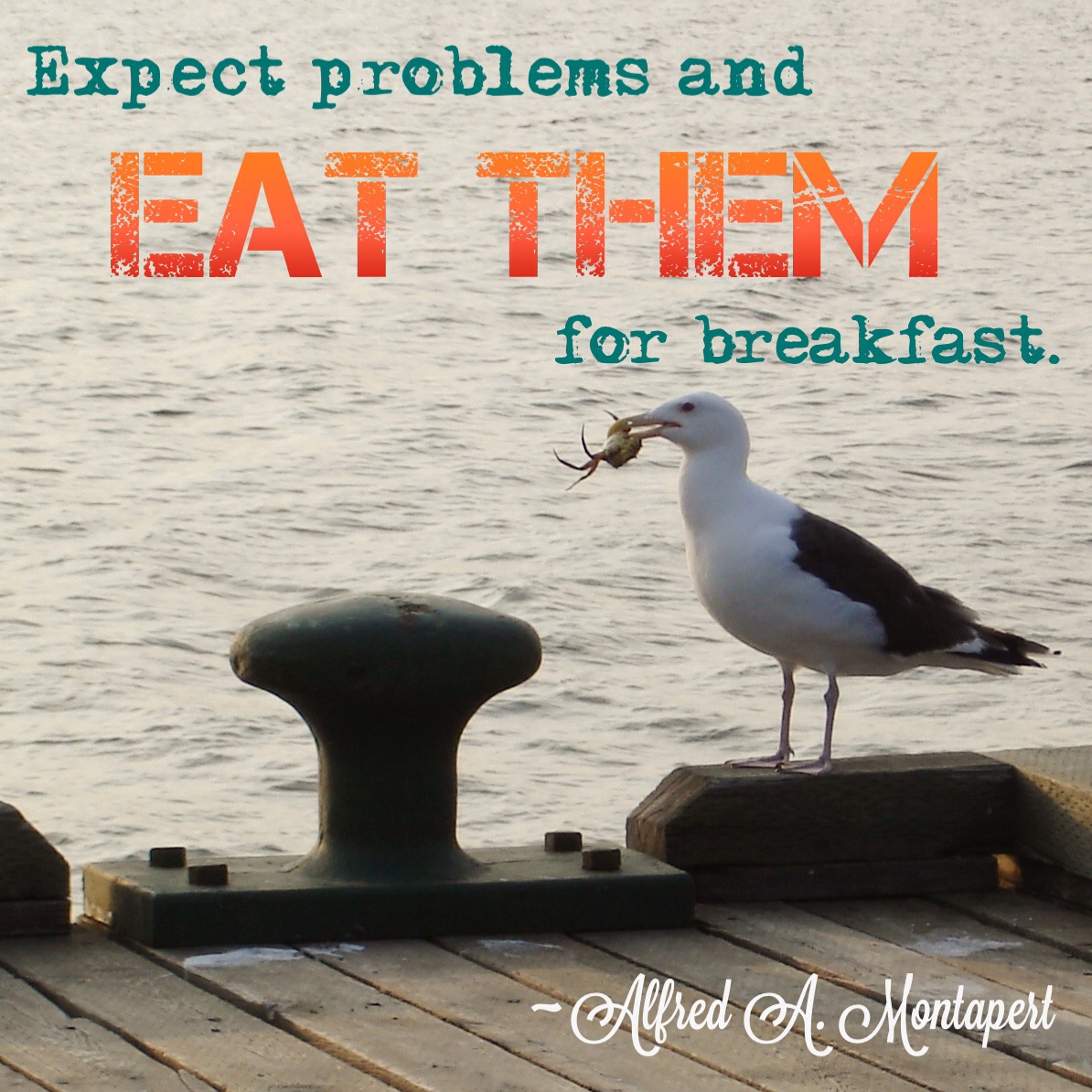 Expect problems and eat them for breakfast quote by Alfred A Monpart