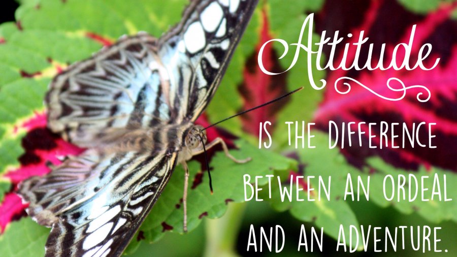 Attitude is the difference between and ordeal and an adventure.