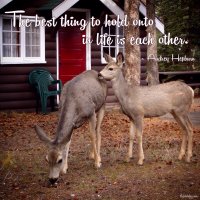 "The best thing to hold onto in life is each other." Audrey Hepburn. Photo copyright Sheri Landry