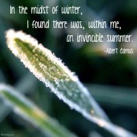 "In the midst of winter, I found there was, within me, an invincible summer." Albert Camus. Photo copyright Sheri Landry