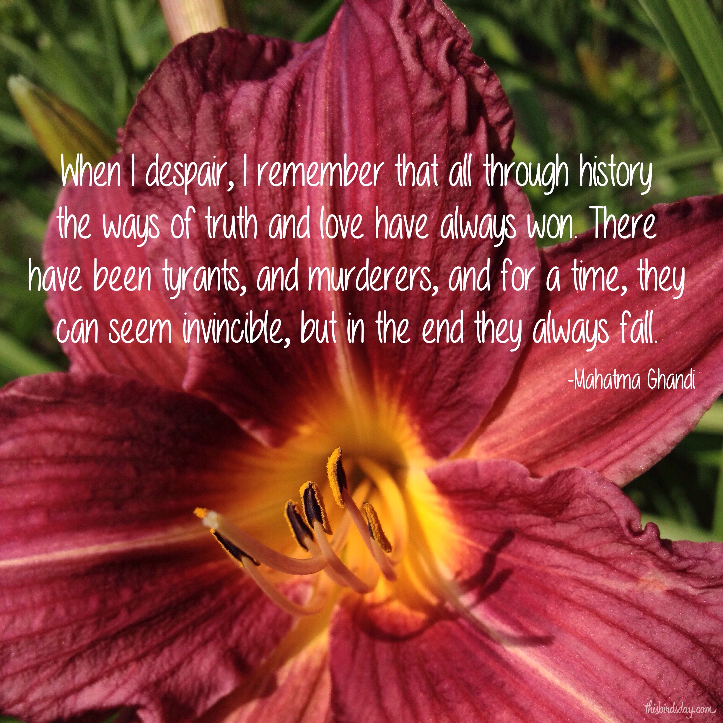 "When I despair, I remember that all through history the ways of truth and love have always won. There have been tyrants, and murderers, and for a time they can seem invincible, but in the end they always fall." Mahatma Ghandi. Photo copyright Sheri Landry