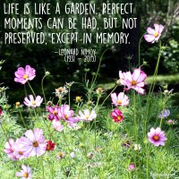 "Life is like a garden. Perfect moments can be had, but not preserved, except in memory." Leonard Nimoy Photo copyright Sheri Landry