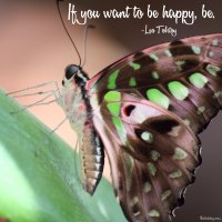 "If you want to be happy, be." Leo Tolstoy Photo copyright Sheri Landry (This Bird's Day)