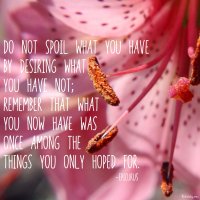 "Do not spoil what you have by desiring what you have not; remember that what you now have was once among the things you only hoped for." Epicurus Photo copyright Sheri Landry