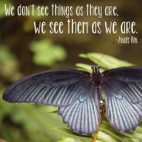 "We don't see things as they are, we see them as we are." Anais Nin Photo copyright Sheri Landry