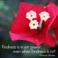 "Kindness is in our power, even when fondness is not." Samuel Johnson Photo copyright Sheri Landry