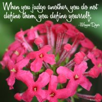 "When you judge another, you do not define them, you define yourself." Wayne Dyer Photo copyrights Sheri Landry