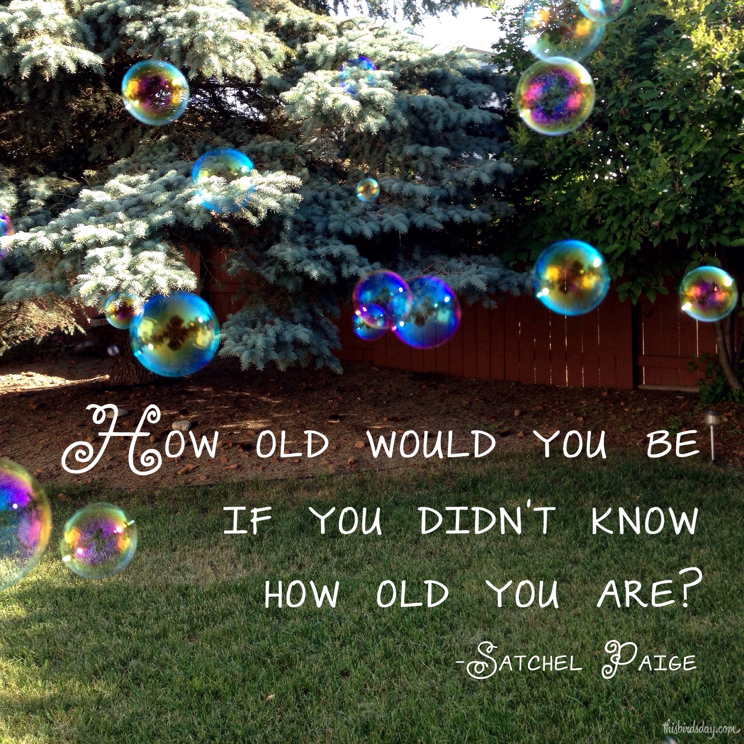 "How old would you be if you didn't know how old you are?" Satchel Paige photo copyright Sheri Landry