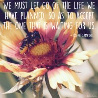 "We must let go of the life we have planned, so as to accept the one that is waiting for us." Joseph Campbell Photo copyright Sheri Landry (thisbirdsday.com)