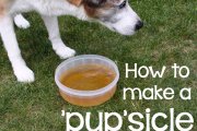 How to make a ‘pup’sicle