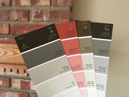 CIL Paint swatches