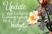 Update your back yard living space on a budget