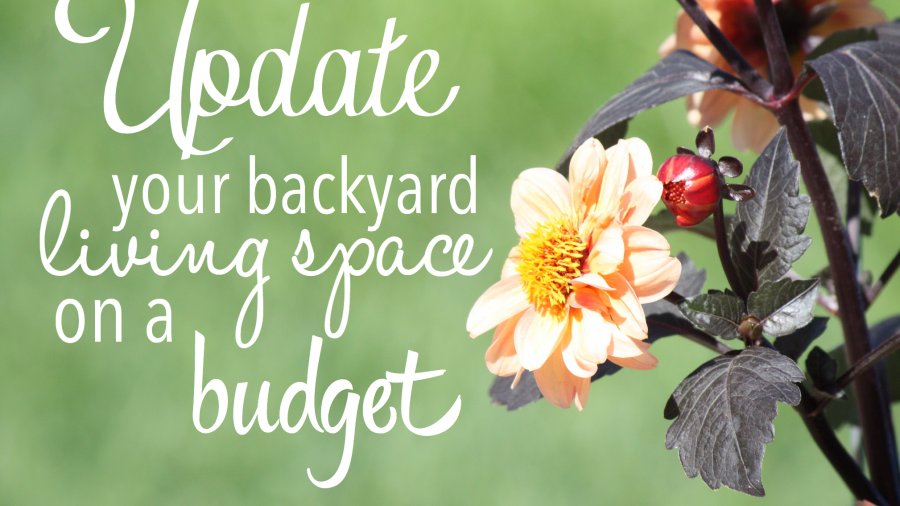 Update your back yard living space on a budget
