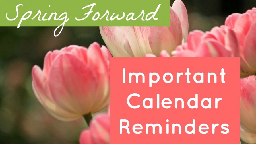 Get Ready to Spring Forward: Important Calendar Reminders